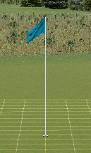 Light Blue Flags
